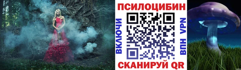 что такое наркотик  Фрязино  Галлюциногенные грибы мицелий 