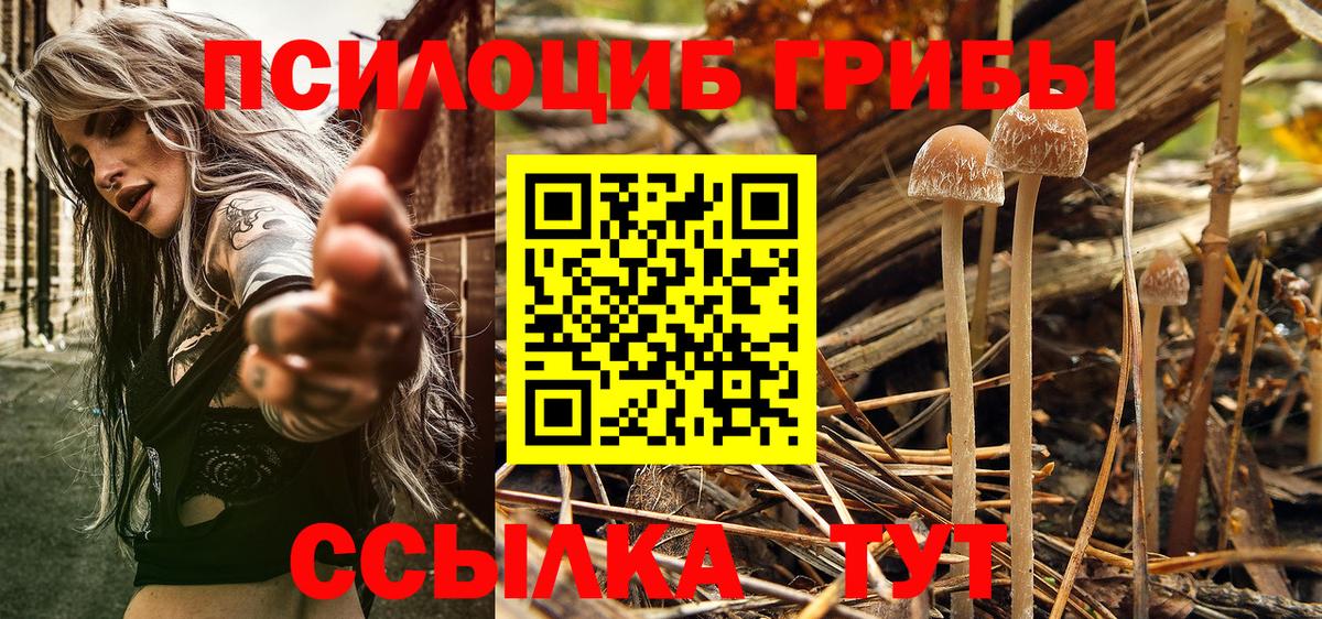 Псилоцибиновые грибы Magic Shrooms  Вход с VPN  Фрязино 