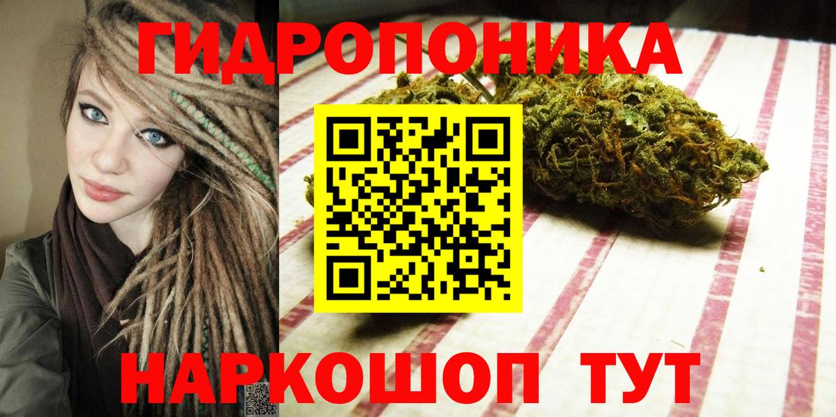 Фрязино  Шишки марихуана марихуана  Бошки марихуана сатива  Вход с VPN 